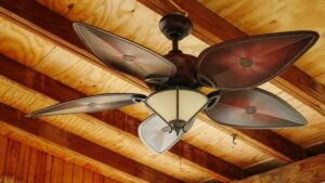 Home Service Blogs | Grand Bay Electrical Ceiling Fan With Five Leaf-Shaped Blades And A Central Light Fixture, Mounted On A Wooden Ceiling With Visible Beams.