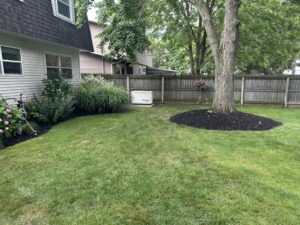 A Backyard With Green Grass, A Large Tree With Mulch Around The Base, A Wooden Fence, Shrubs, Flowers, And A White Generator Near The Fence.